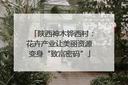 陕西神木铧西村：花卉产业让美丽资源变身“致富密码”
