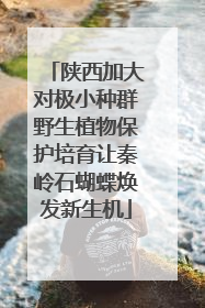 陕西加大对极小种群野生植物保护培育让秦岭石蝴蝶焕发新生机