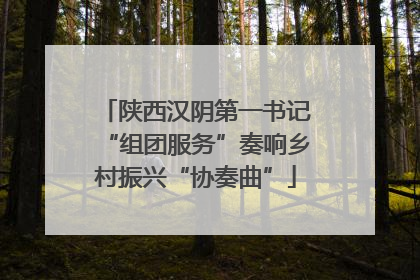 陕西汉阴第一书记“组团服务”奏响乡村振兴“协奏曲”