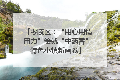 零陵区：“用心用情用力”绘就“中药香”特色小镇新画卷