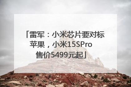 雷军：小米芯片要对标苹果，小米15SPro售价5499元起