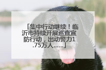 集中行动继续！临沂市持续开展巡查宣防行动，出动警力1.75万人……