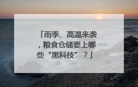 雨季、高温来袭，粮食仓储要上哪些“黑科技”？