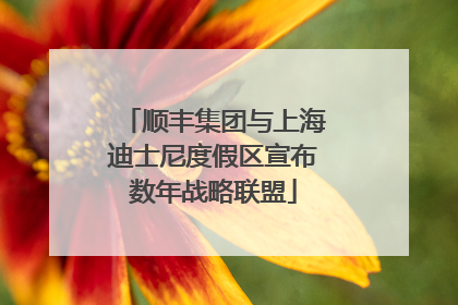 顺丰集团与上海迪士尼度假区宣布数年战略联盟