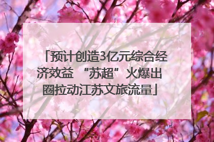 预计创造3亿元综合经济效益 “苏超”火爆出圈拉动江苏文旅流量
