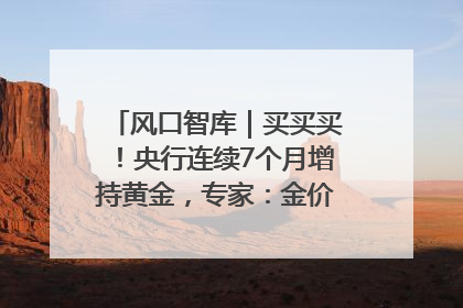 风口智库｜买买买！央行连续7个月增持黄金，专家：金价或仍易涨难跌