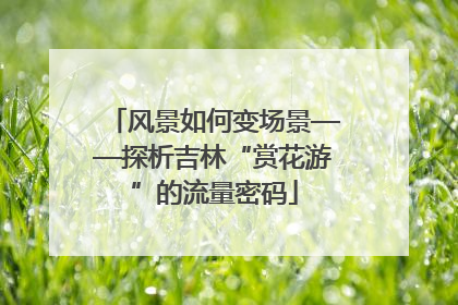 风景如何变场景——探析吉林“赏花游”的流量密码
