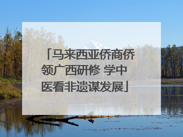 马来西亚侨商侨领广西研修 学中医看非遗谋发展