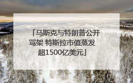 马斯克与特朗普公开骂架 特斯拉市值蒸发超1500亿美元