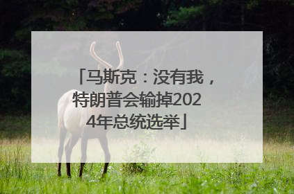 马斯克：没有我，特朗普会输掉2024年总统选举