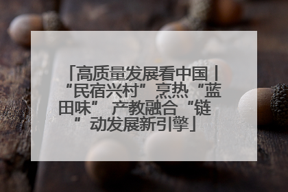高质量发展看中国丨“民宿兴村”烹热“蓝田味” 产教融合“链”动发展新引擎