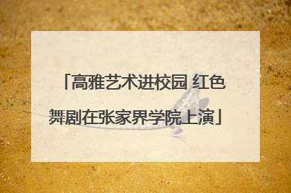 高雅艺术进校园 红色舞剧在张家界学院上演