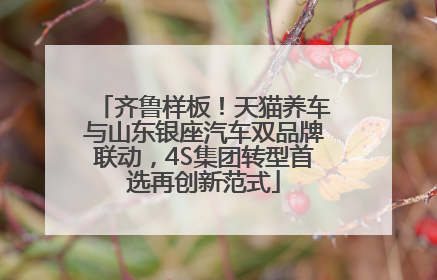 齐鲁样板！天猫养车与山东银座汽车双品牌联动，4S集团转型首选再创新范式