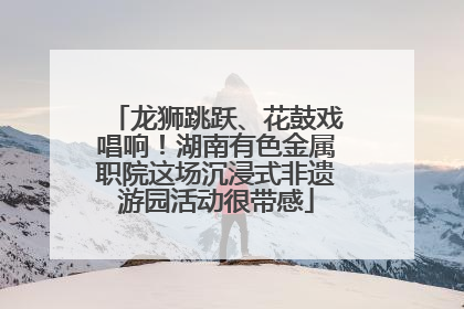 龙狮跳跃、花鼓戏唱响！湖南有色金属职院这场沉浸式非遗游园活动很带感