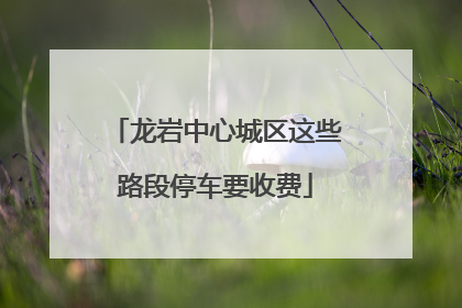 龙岩中心城区这些路段停车要收费