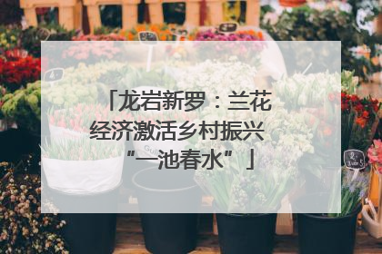 龙岩新罗：兰花经济激活乡村振兴“一池春水”
