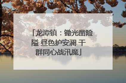 龙潭镇：锄光凿险隘 昼色护安澜 干群同心战汛魔