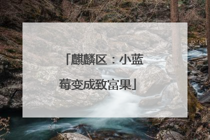 麒麟区：小蓝莓变成致富果