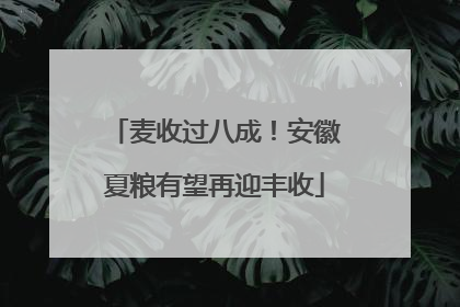 麦收过八成！安徽夏粮有望再迎丰收