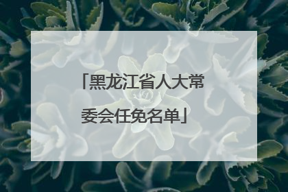 黑龙江省人大常委会任免名单