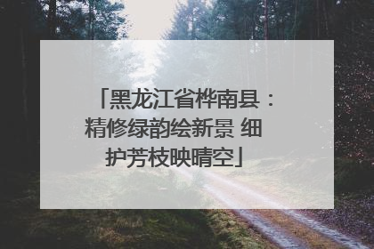 黑龙江省桦南县：精修绿韵绘新景 细护芳枝映晴空