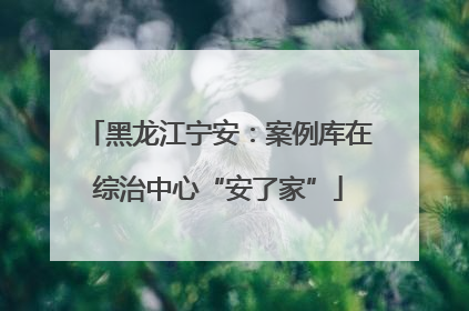 黑龙江宁安：案例库在综治中心“安了家”