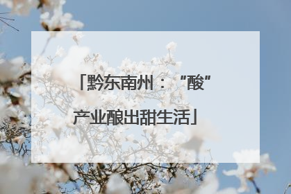 黔东南州：“酸”产业酿出甜生活