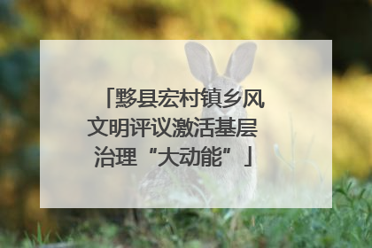 黟县宏村镇乡风文明评议激活基层治理“大动能”