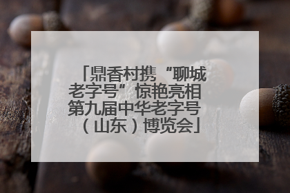 鼎香村携“聊城老字号”惊艳亮相第九届中华老字号（山东）博览会