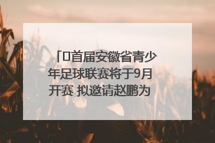 ﻿首届安徽省青少年足球联赛将于9月开赛 拟邀请赵鹏为先导赛开球
