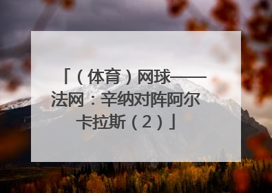 （体育）网球——法网：辛纳对阵阿尔卡拉斯（2）