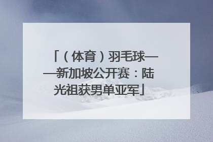 （体育）羽毛球——新加坡公开赛：陆光祖获男单亚军