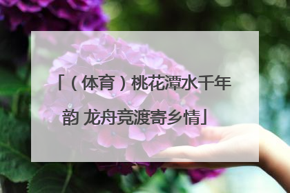 （体育）桃花潭水千年韵 龙舟竞渡寄乡情
