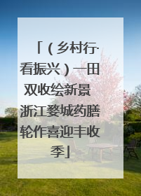 （乡村行·看振兴）一田双收绘新景 浙江婺城药膳轮作喜迎丰收季