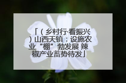 （乡村行·看振兴）山西天镇：设施农业“棚”勃发展 辣椒产业蓄势待发