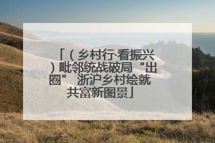 （乡村行·看振兴）毗邻统战破局“出圈” 浙沪乡村绘就共富新图景