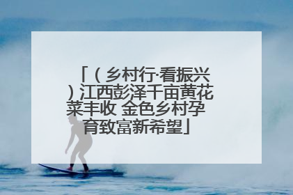 （乡村行·看振兴）江西彭泽千亩黄花菜丰收 金色乡村孕育致富新希望
