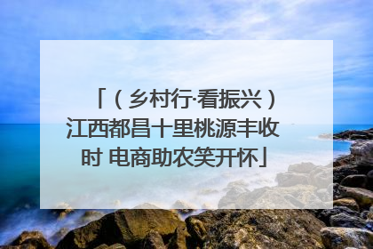（乡村行·看振兴）江西都昌十里桃源丰收时 电商助农笑开怀