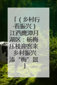 （乡村行·看振兴）江西鹰潭月湖区：杨梅压枝迎客来 乡村振兴添“梅”景