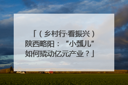 （乡村行·看振兴）陕西略阳：“小瓢儿”如何撬动亿元产业？