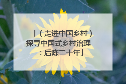 （走进中国乡村）探寻中国式乡村治理：后陈二十年