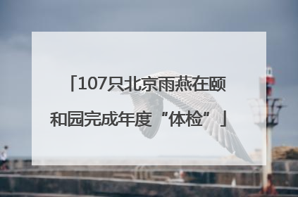 107只北京雨燕在颐和园完成年度“体检”