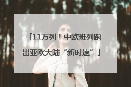 11万列！中欧班列跑出亚欧大陆“新时速”
