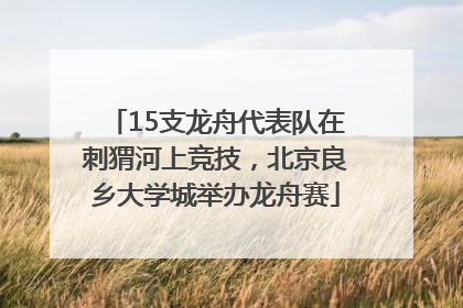 15支龙舟代表队在刺猬河上竞技，北京良乡大学城举办龙舟赛