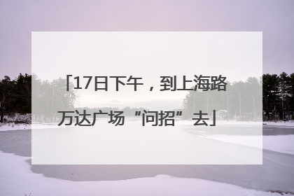 17日下午，到上海路万达广场“问招”去