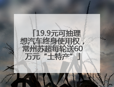 19.9元可抽理想汽车终身使用权，常州苏超每轮送60万元“土特产”