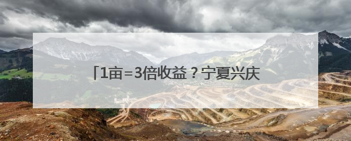 1亩=3倍收益？宁夏兴庆区解锁改革“黄金公式”