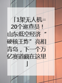 1架无人机=20个巡查员！山东低空经济“硬核王炸”亮相青岛，下一个万亿赛道藏在这里