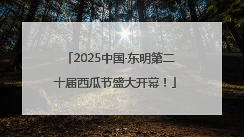 2025中国·东明第二十届西瓜节盛大开幕！