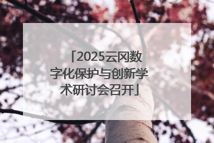 2025云冈数字化保护与创新学术研讨会召开
